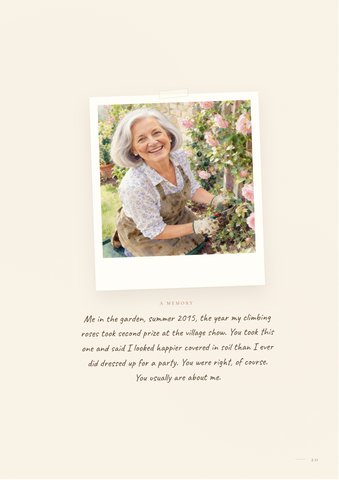 Memory photo page: the garden in summer, the year the roses took second prize